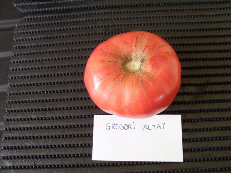 Gregori Altaï Fruit 14 août RDT.jpg